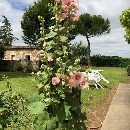 Holiday home Peches De Vignes Fouquebrune